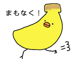 4326955