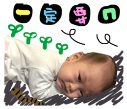 43272628