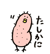432758892