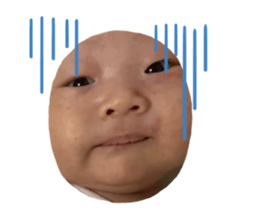 432801570