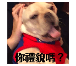 432819074