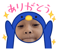 432820886