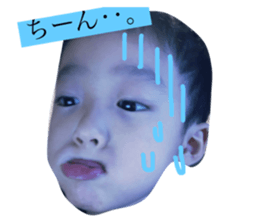 43282266