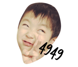 43282269