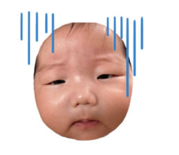 432824738