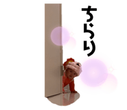 432922070