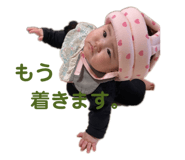 432922073