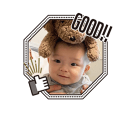432931181