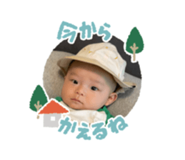 432931184