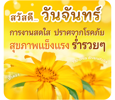 ลายที่ 1