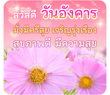 ลายที่ 2