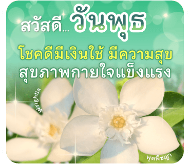 ลายที่ 3