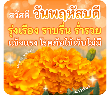 ลายที่ 4