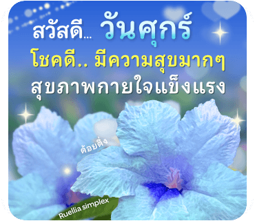 ลายที่ 5