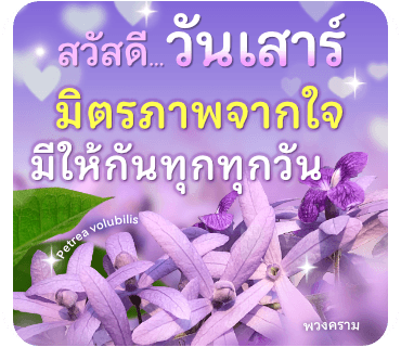 ลายที่ 6