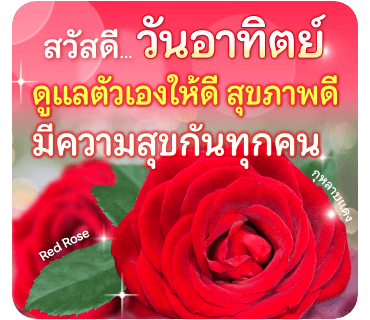 ลายที่ 7
