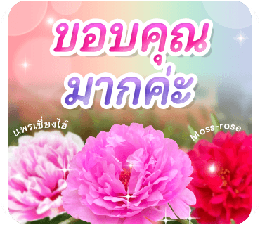 ลายที่ 8