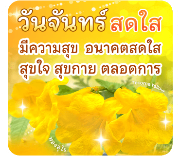 ลายที่ 9