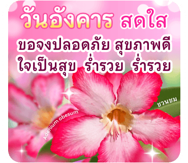 ลายที่ 10