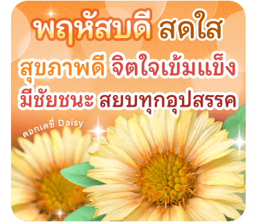 ลายที่ 12