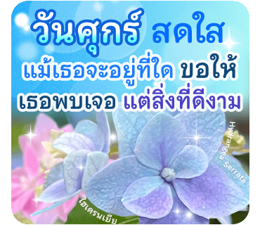 ลายที่ 13