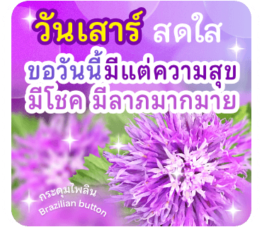 ลายที่ 14
