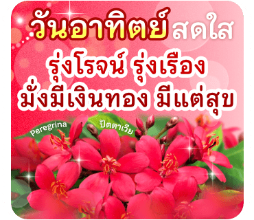 ลายที่ 15
