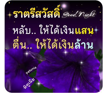 ลายที่ 16