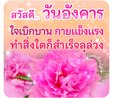 ลายที่ 18