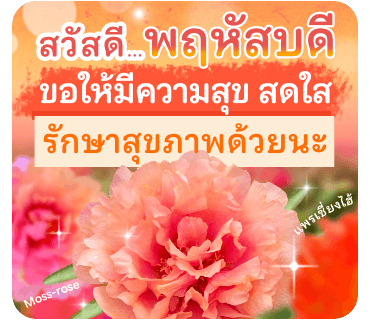 ลายที่ 20