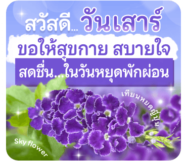 ลายที่ 22