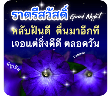 ลายที่ 24