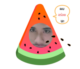 432944381