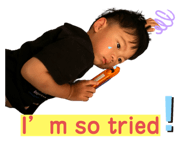 433018150