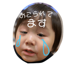 433143538