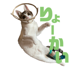 433197757