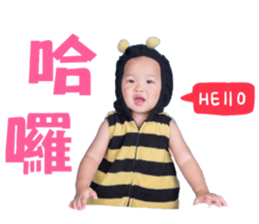 43322322