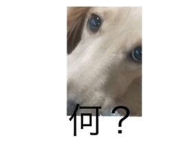 433250634