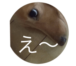 433250635