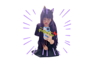 433285102