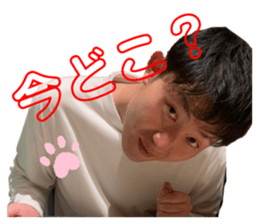 433296363