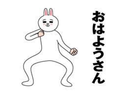 433304876