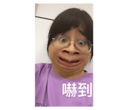 433316259