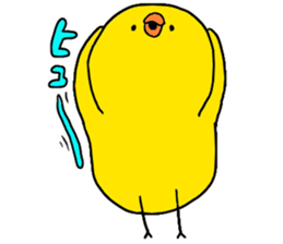 4333311