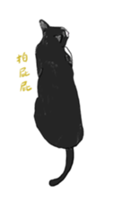 433380566