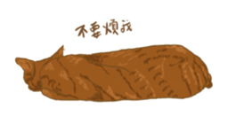 433380571