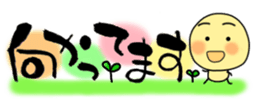 433385629