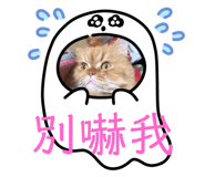 433389963