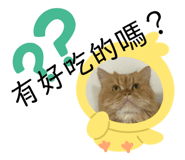 433389965