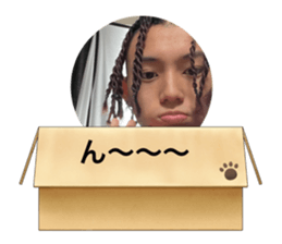 433441332
